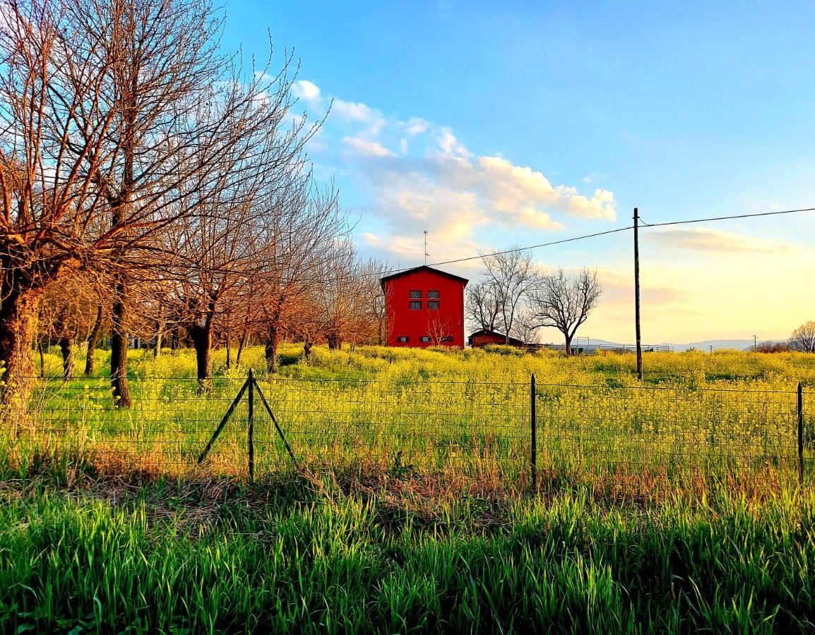 Agriturismo Azienda Agricola Ferrari M.Rita Pozza Luaran gambar